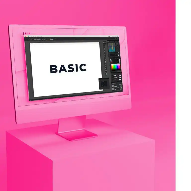 SEVIZIO GRAFICO basic Stampa più